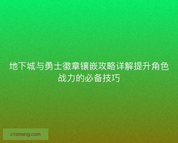 地下城与勇士徽章镶嵌攻略详解提升角色战力的必备技巧
