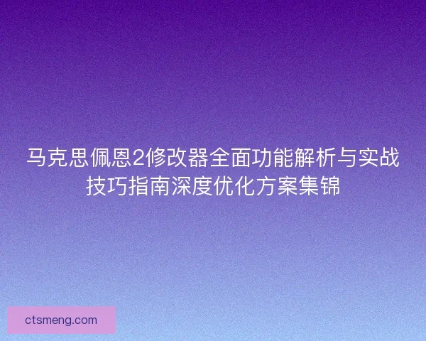 马克思佩恩2修改器全面功能解析与实战技巧指南深度优化方案集锦