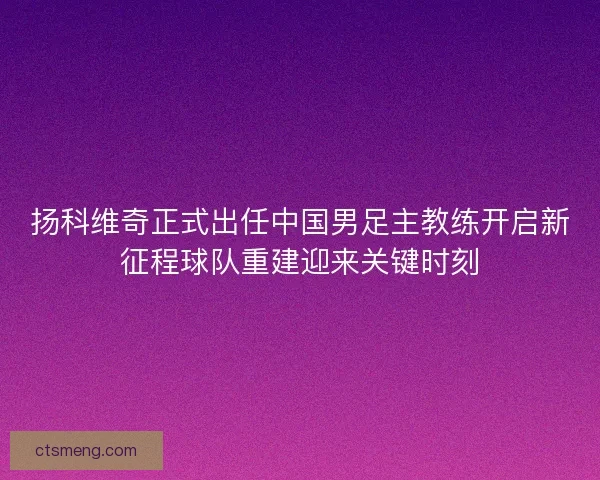 扬科维奇正式出任中国男足主教练开启新征程球队重建迎来关键时刻