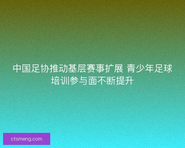 中国足协推动基层赛事扩展 青少年足球培训参与面不断提升